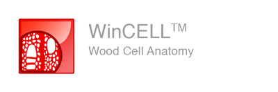 cell analysis, wood cell, WinCELL, XLCell