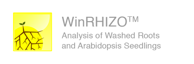 root analyais, morphology, arabidopsis