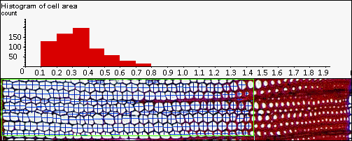 cell analysis, wood cell, WinCELL, XLCell