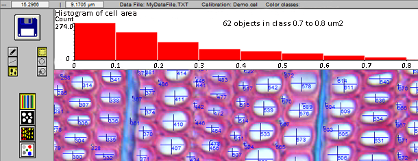 cell analysis, wood cell, WinCELL, XLCell